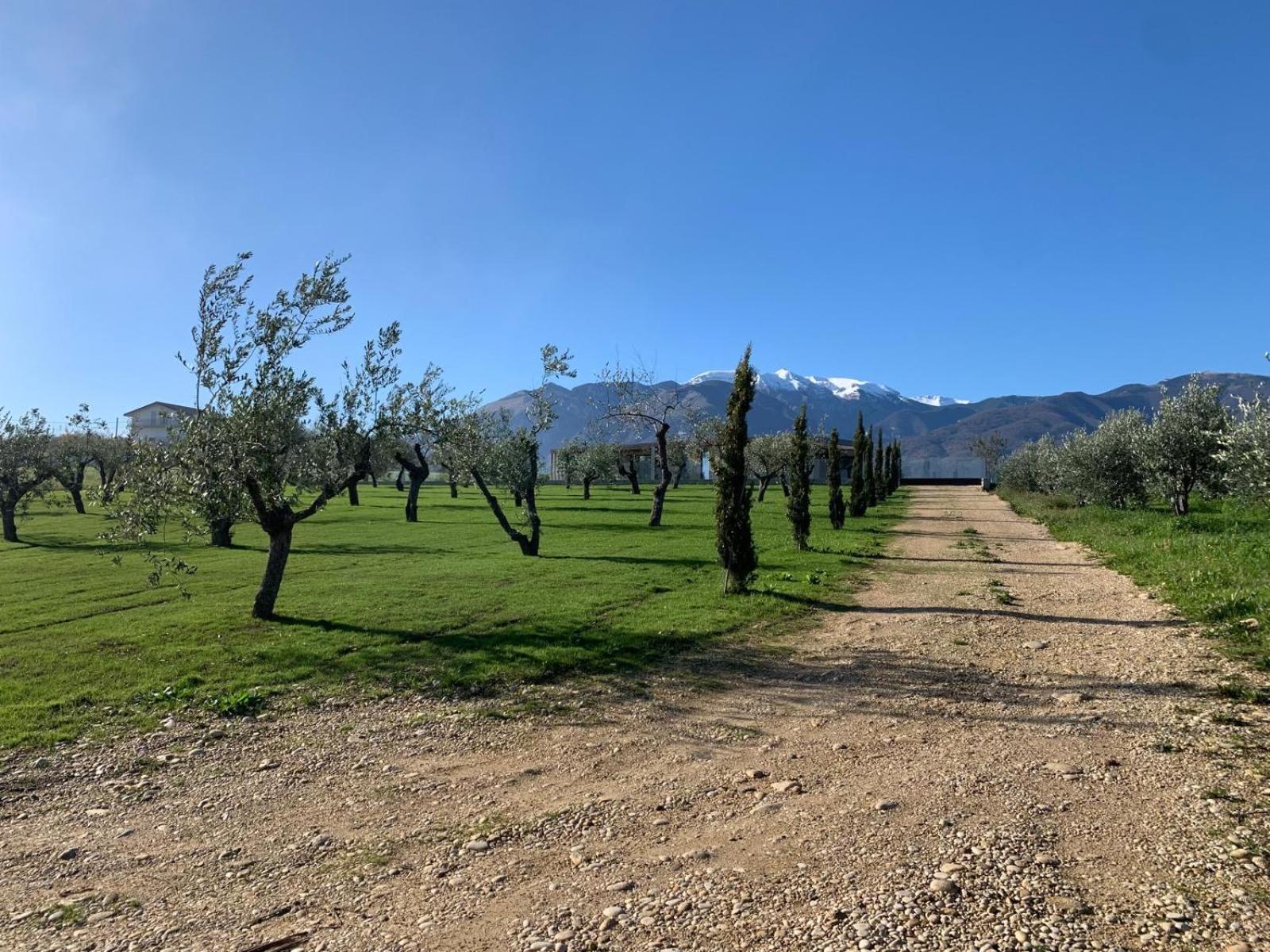 Villa Pirello Guardiagrele Dış mekan fotoğraf